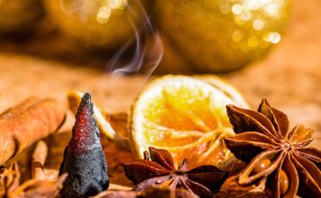 L’univers des odeurs, source de bien-être et thérapie naturelle le pouvoir des odeurs : huiles essentielles et encens