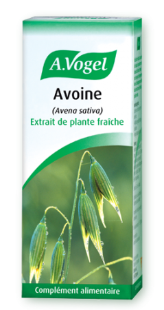 extrait de plante fraîche d'avoine bio