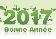Pour une nouvelle année riche en réponses… bio bonne annee 2017 avec Reponses Bio