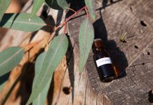 Le virus de la grippe : déprogrammation d’une épidémie Les huiles essentielles pour soigner la grippe naturellementa