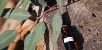 Le virus de la grippe : déprogrammation d’une épidémie Les huiles essentielles pour soigner la grippe naturellementa