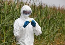 Quand Bayer achète Monsanto, la nature tremble ! Bayer et Monsanto fusionnent, laissant présager le pire pour l'avenir