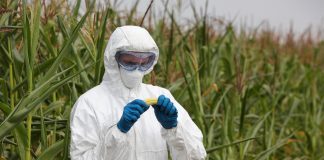 Quand Bayer achète Monsanto, la nature tremble ! Bayer et Monsanto fusionnent, laissant présager le pire pour l'avenir