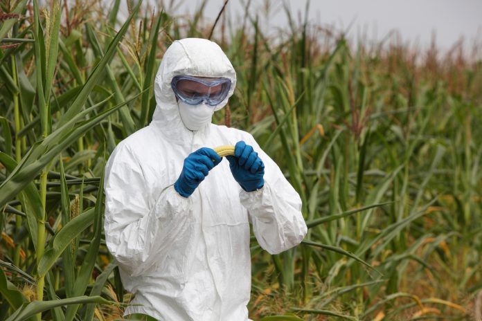 Bayer et Monsanto fusionnent, laissant présager le pire pour l'avenir