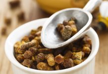 Le pain d’abeilles Pain d'abeilles : composition et bienfaits