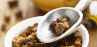 Le pain d’abeilles Pain d'abeilles : composition et bienfaits