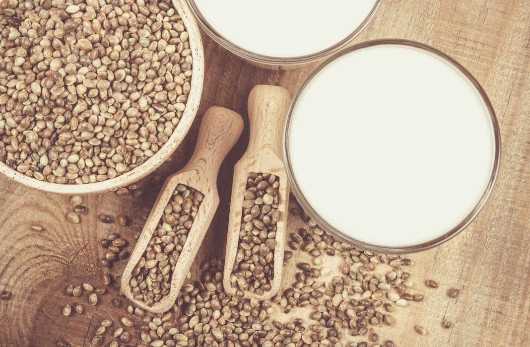 Tofu de chanvre biologique Tofu de chanvre biologique