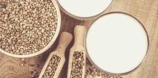 Te’fou ? Oui, de chanvre ! Tofu de chanvre biologique