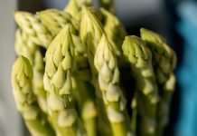 Recettes gourmandes de légumes tiges Recettes végétariennes aux légumes tiges