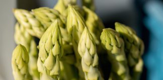 Recettes gourmandes de légumes tiges Recettes végétariennes aux légumes tiges