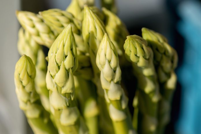 Recettes végétariennes aux légumes tiges