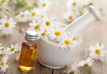 Douce camomille recettes de beauté et de santé à la camomille