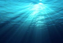 Le plasma marin de René Quinton Plasma marin de René Quinton