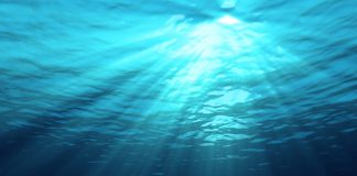 Le plasma marin de René Quinton Plasma marin de René Quinton