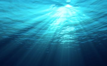 Le plasma marin de René Quinton Plasma marin de René Quinton