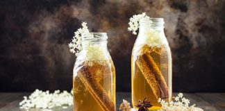 La fabuleuse alchimie des aliments fermentés bienfaits des aliments fermentés