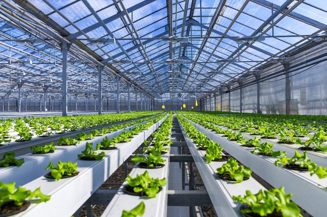 Le label bio en danger ?