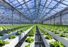 Une nouvelle loi visant à dénaturer le label bio Le label bio en danger ?