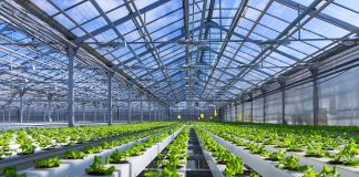 Une nouvelle loi visant à dénaturer le label bio Le label bio en danger ?