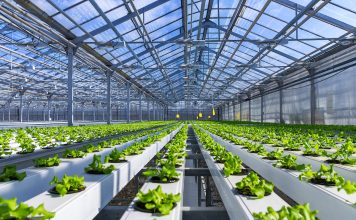Une nouvelle loi visant à dénaturer le label bio Le label bio en danger ?