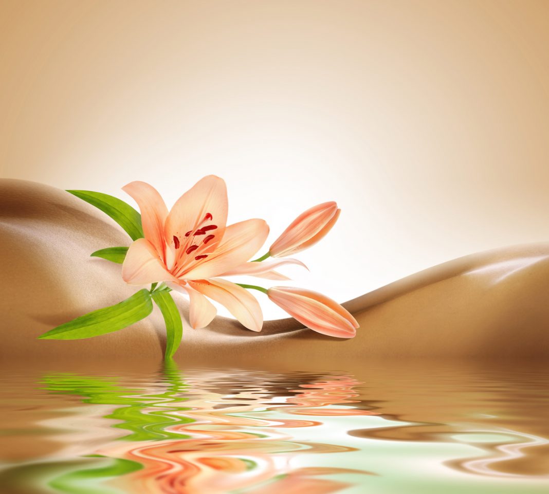 Hydrothérapie du côlon