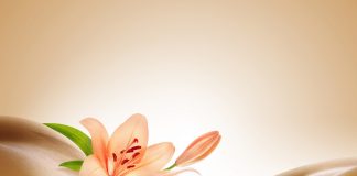 Un côlon sain pour une santé de fer Hydrothérapie du côlon