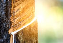 Le temple des rêves Lait d'hevea : matelas en latex naturel