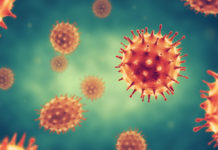 Un arsenal anti-viral combattre virus et bactéries avec les huiles essentielles