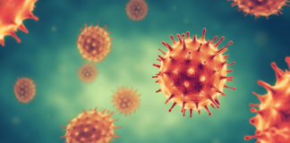 Un arsenal anti-viral combattre virus et bactéries avec les huiles essentielles