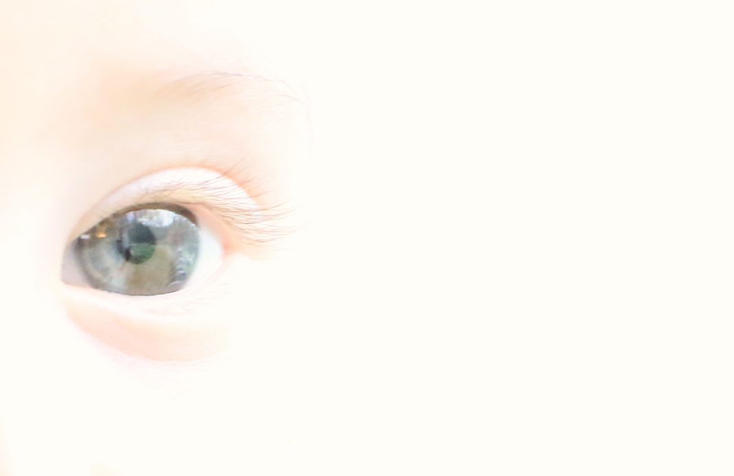 Amadeo oeil nouveau né Amadeo oeil nouveau né