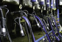 Lactalis ou l’échec systématique du système scandale sanitaire lait infantile industriel et alternatives