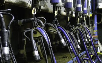 Lactalis ou l’échec systématique du système scandale sanitaire lait infantile industriel et alternatives