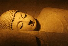 Systémique # 2 : Le sommeil, socle de la santé et de l’esprit