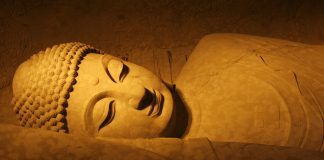 Systémique # 2 : Le sommeil, socle de la santé et de l’esprit