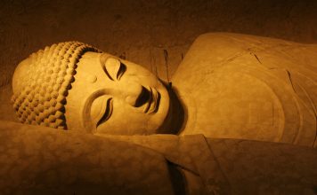 Systémique # 2 : Le sommeil, socle de la santé et de l’esprit