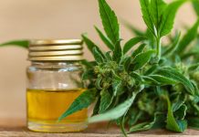 Les cannabinoïdes : une solution contre le cancer ? Cannabis thérapeutique cannabinoïdes : CBD, CBN, THC