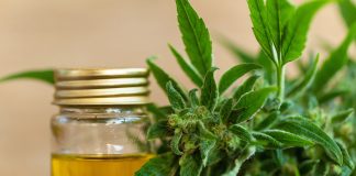 Les cannabinoïdes : une solution contre le cancer ? Cannabis thérapeutique cannabinoïdes : CBD, CBN, THC