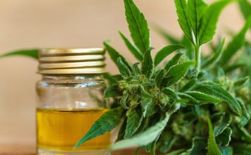 Les cannabinoïdes : une solution contre le cancer ? Cannabis thérapeutique cannabinoïdes : CBD, CBN, THC