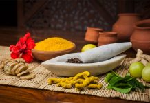 L’Ayurveda pour les Occidentaux reponsesbio-ayurveda-pour-occidentaux