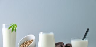 Quelques recettes au chanvre pour réveiller le printemps recettes au chanvre végétariennes