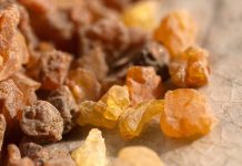 Les indications de la phytothérapie Ayurvédique myrrhe ayurveda
