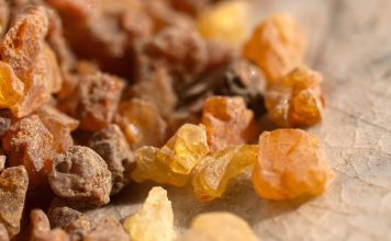 Les indications de la phytothérapie Ayurvédique myrrhe ayurveda