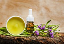 La consoude, plante thérapeutique ou mauvaise herbe ? vertus thérapeutiques consoude