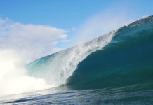 L’eau des origines… redécouverte