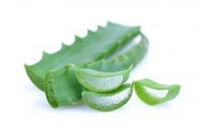 Interdiction de l’aloès et du remède du père Zago, info ou intox ? les remèdes à base d'aloe interdits ? Info ou intox ?