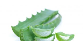 Interdiction de l’aloès et du remède du père Zago, info ou intox ? les remèdes à base d'aloe interdits ? Info ou intox ?