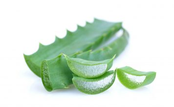 Interdiction de l’aloès et du remède du père Zago, info ou intox ? les remèdes à base d'aloe interdits ? Info ou intox ?