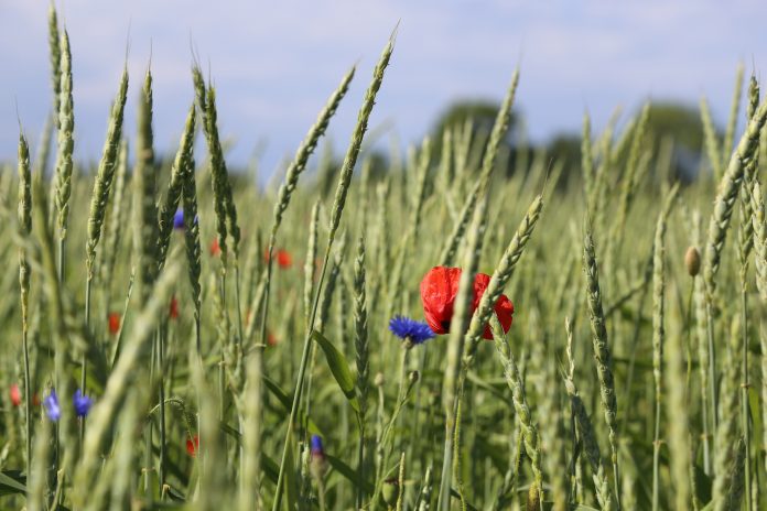 interdiction des pesticides