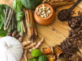 L’Ayurveda pour les Occidentaux ayurveda pour les occidentaux