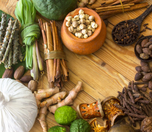 L’Ayurveda pour les Occidentaux ayurveda pour les occidentaux